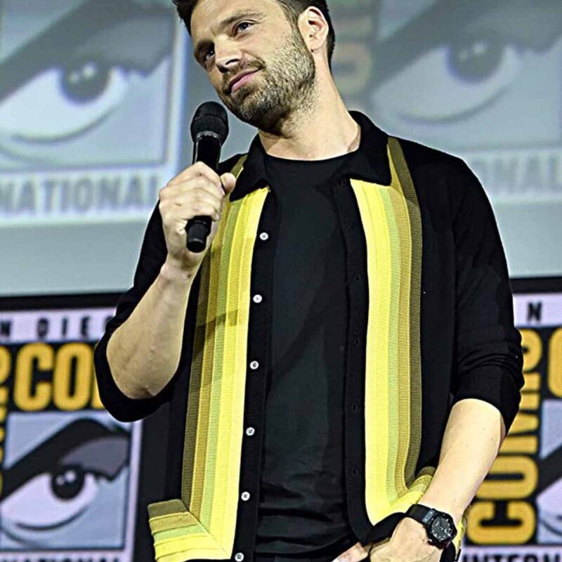 The Falcon And The Winter Soldier Sebastian Stan Jacket